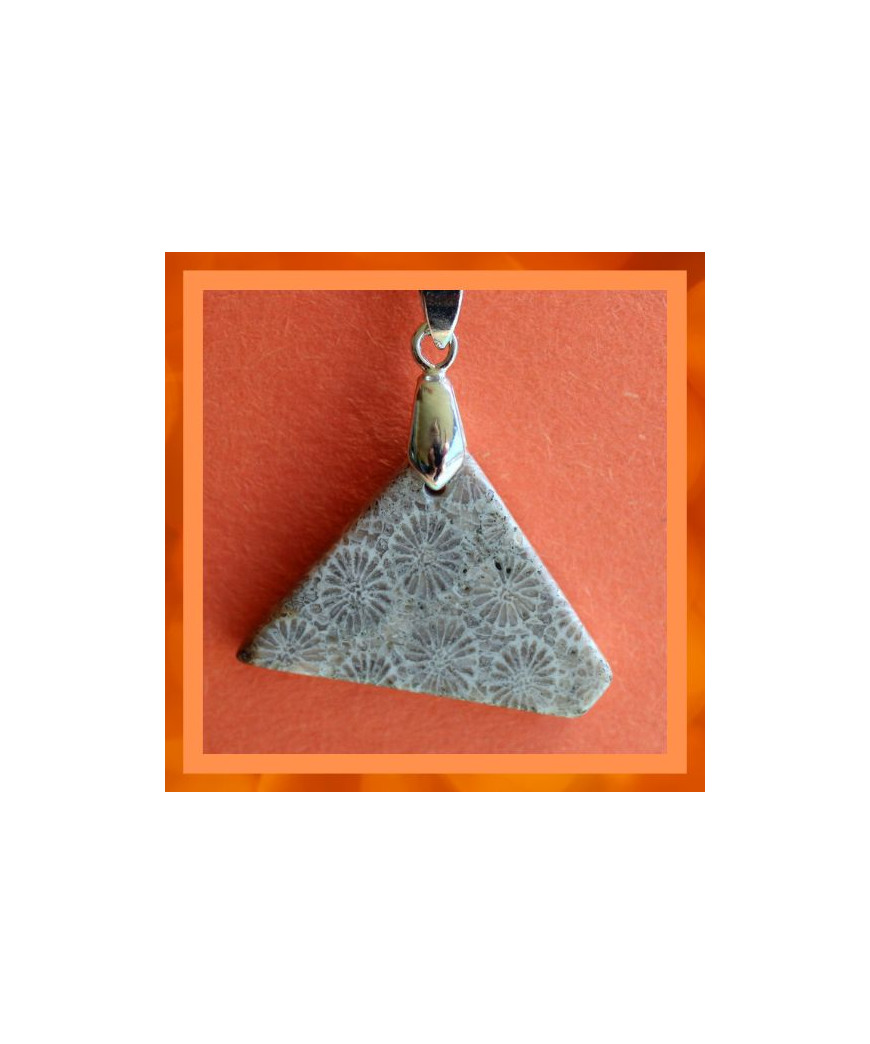 Pendentif en Corail de fossiles d'Agate grise