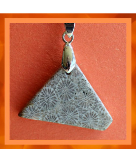 Pendentif en Corail de fossiles d'Agate grise