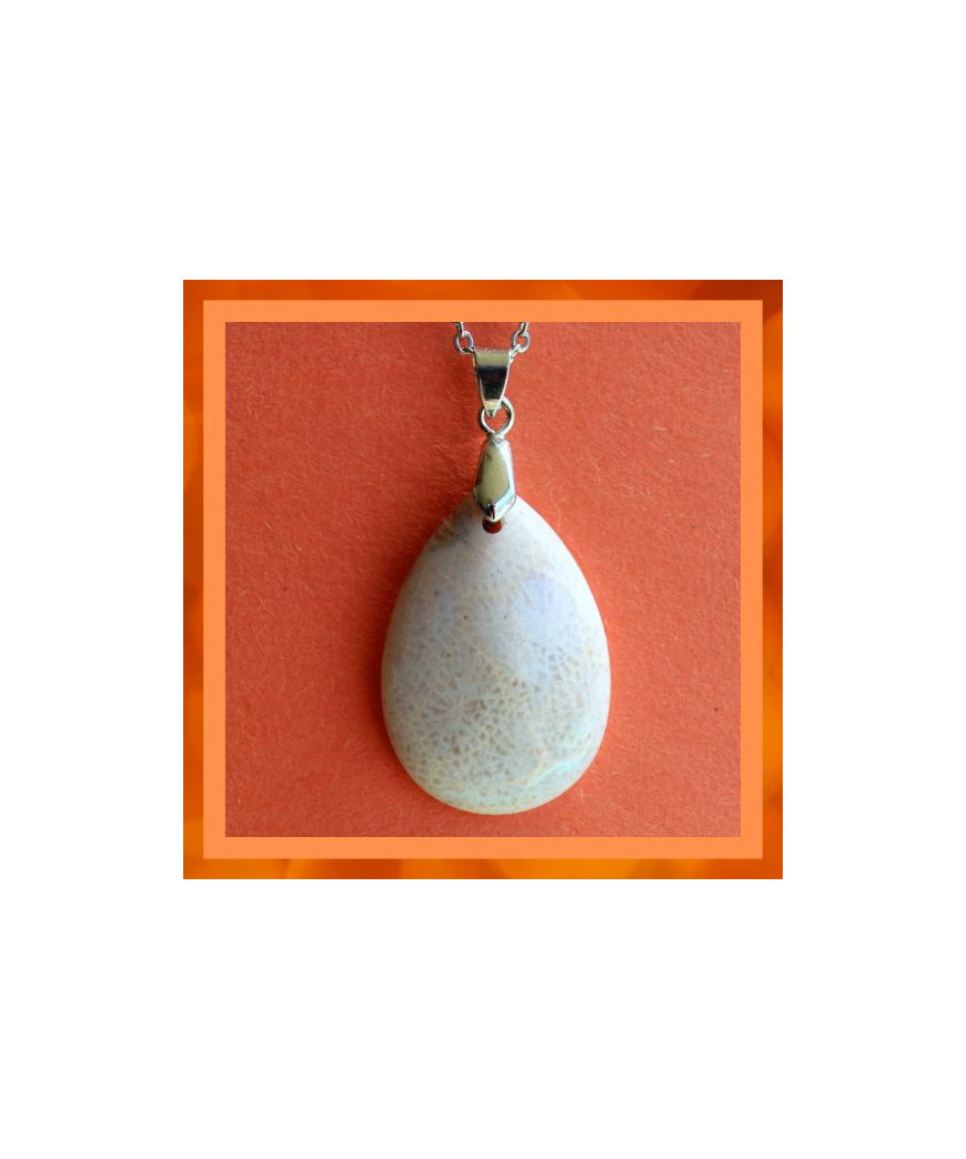 Pendentif en Corail de fossiles d'Agate