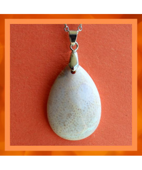 Pendentif en Corail de fossiles d'Agate
