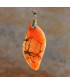 Pendentif en Agate orange veines de dragon