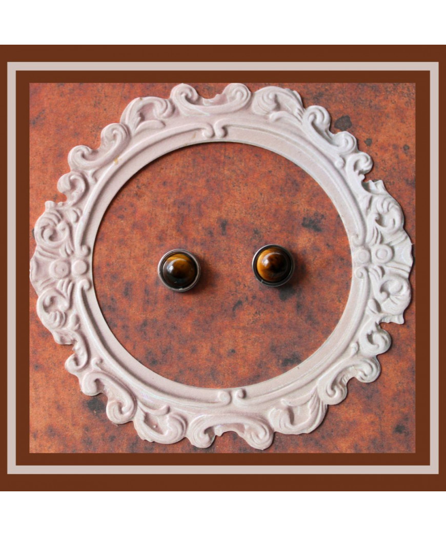 Boucles d'oreilles clous Œil de tigre en acier inoxydable