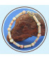 Bracelet en Jaspe