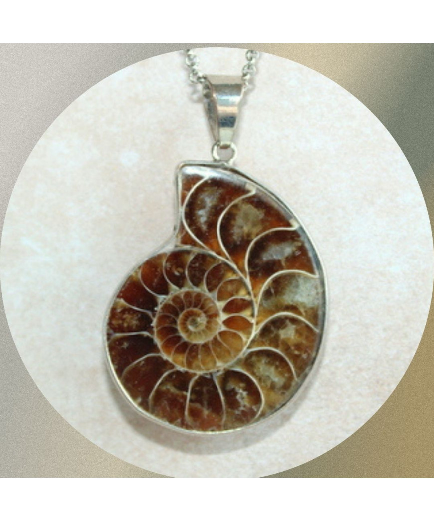 Pendentif Ammonite