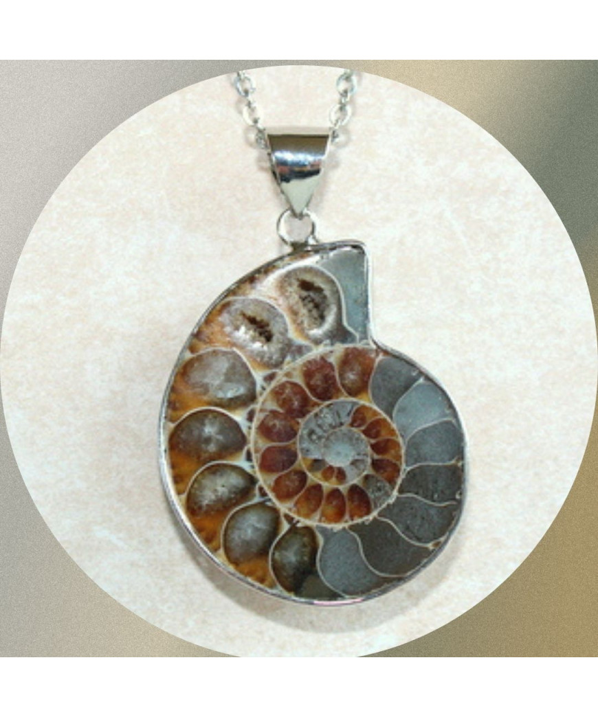 Pendentif Ammonite