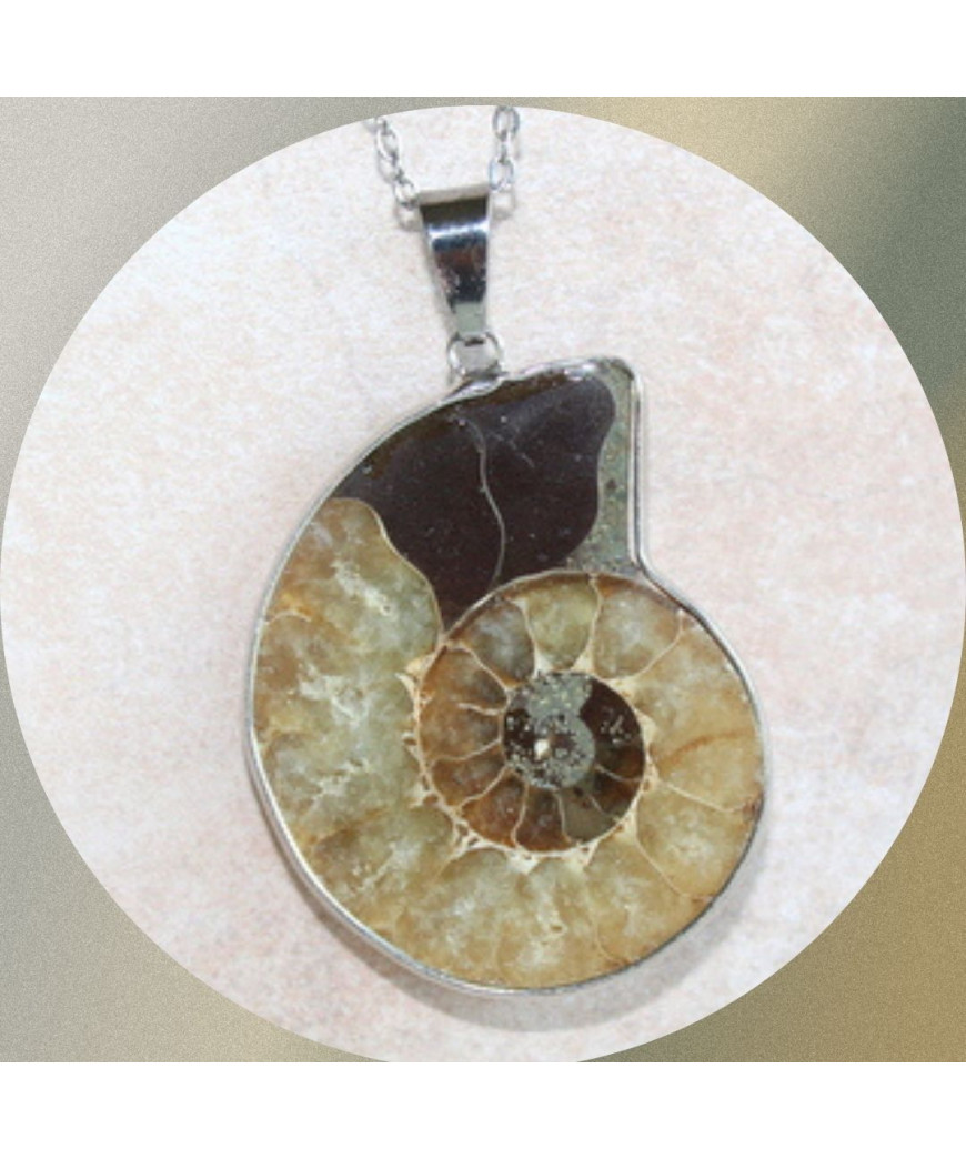 Pendentif Ammonite
