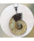 Pendentif Ammonite