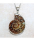 Pendentif Ammonite