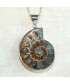 Pendentif Ammonite