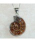 Pendentif Ammonite