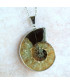Pendentif Ammonite
