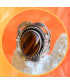 Bague en Œil de tigre