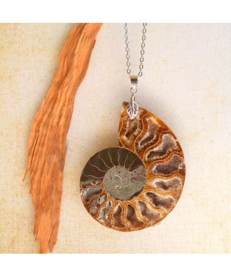 Pendentif Ammonite