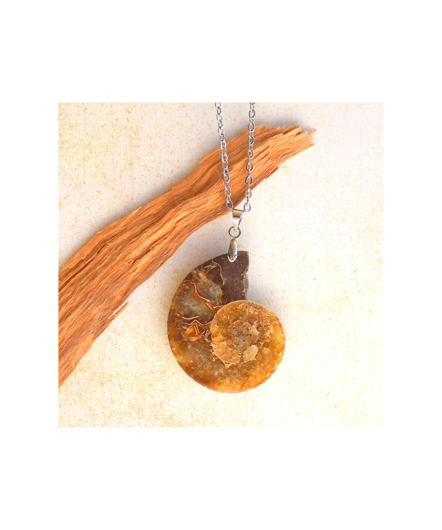 Pendentif Ammonite