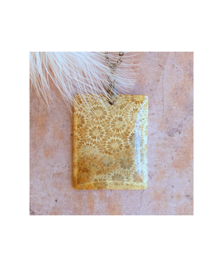 Pendentif en Corail de fossiles d'Agate